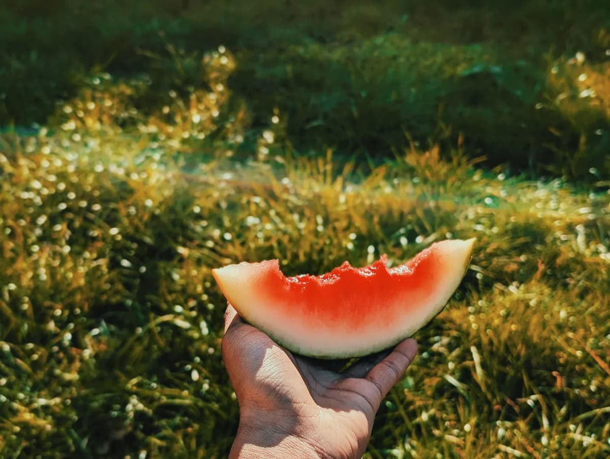 戶外手持一片西瓜