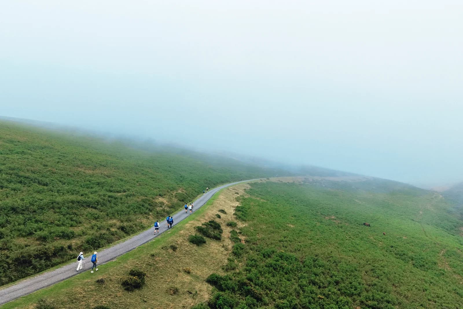 山霧中的綠色山坡，學生沿彎曲山路前進