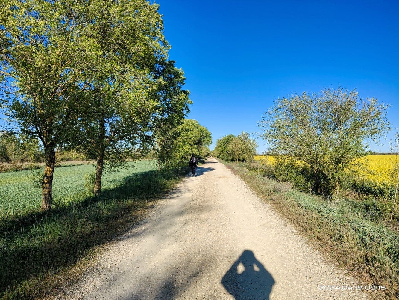 卡里翁德洛斯孔德斯之後筆直沒有遮蔭的道路