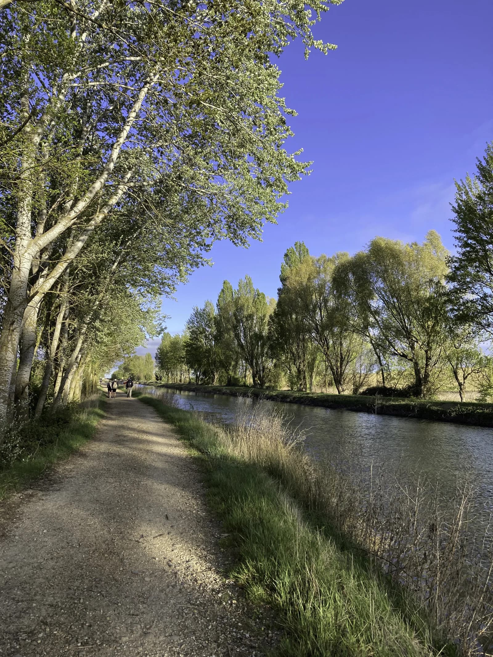 卡斯提亞運河步道