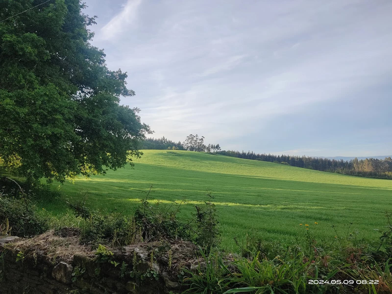 加利西亞翠綠起伏的鄉村景色