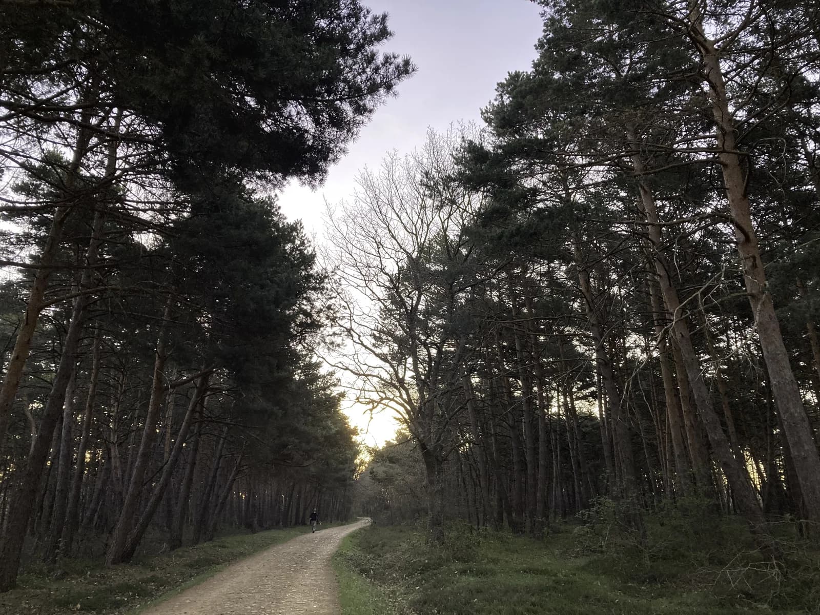 修道院教堂內部