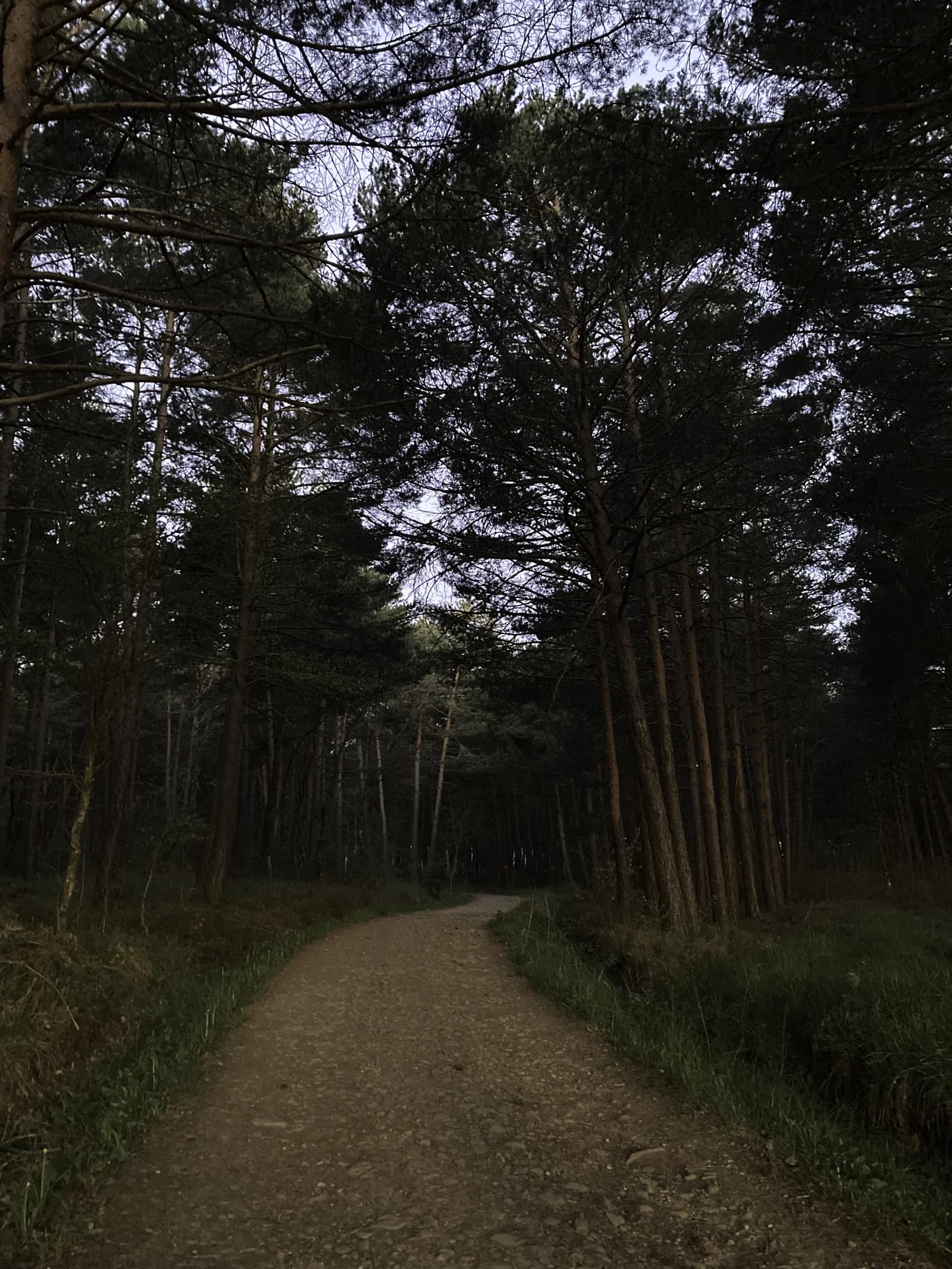 Montes de Oca 森林小徑